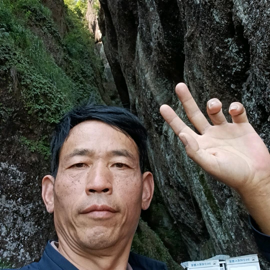 真心从善