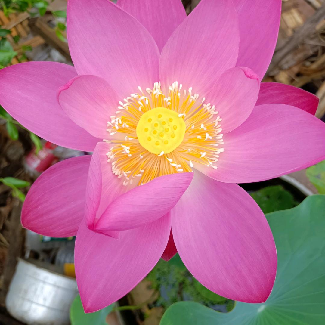 @平凡人生