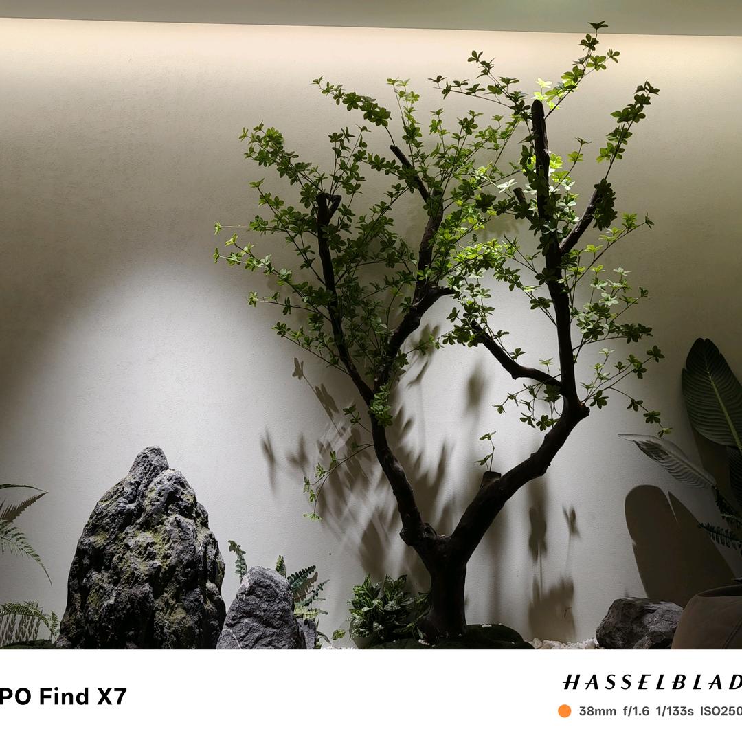 老二制坊加工厂