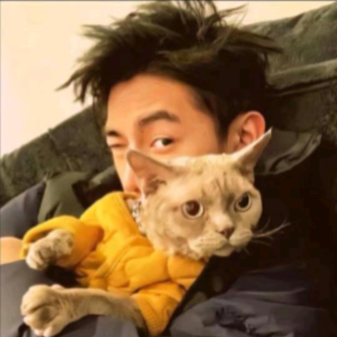 啊號🌊