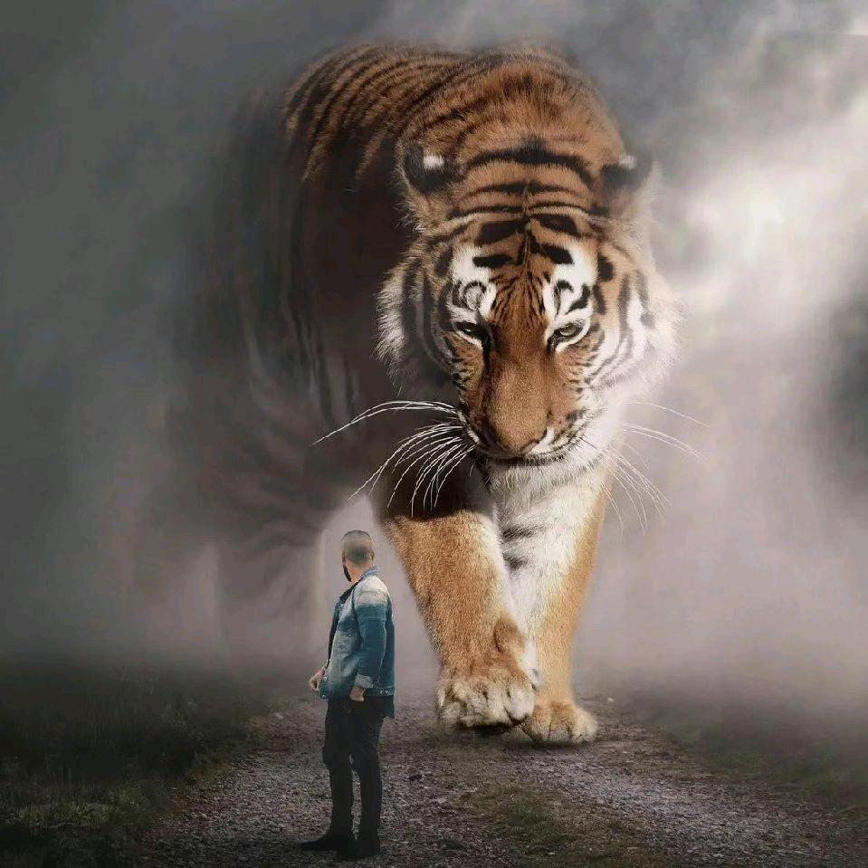 信命不认命