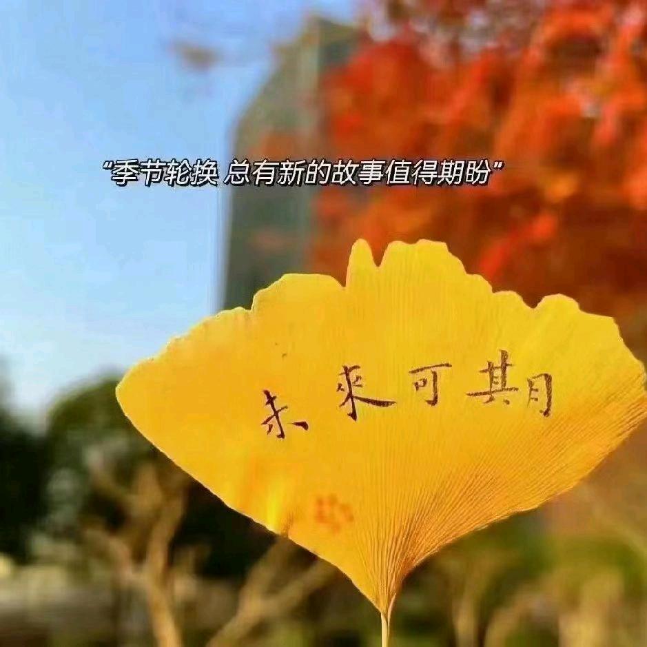 丹丹