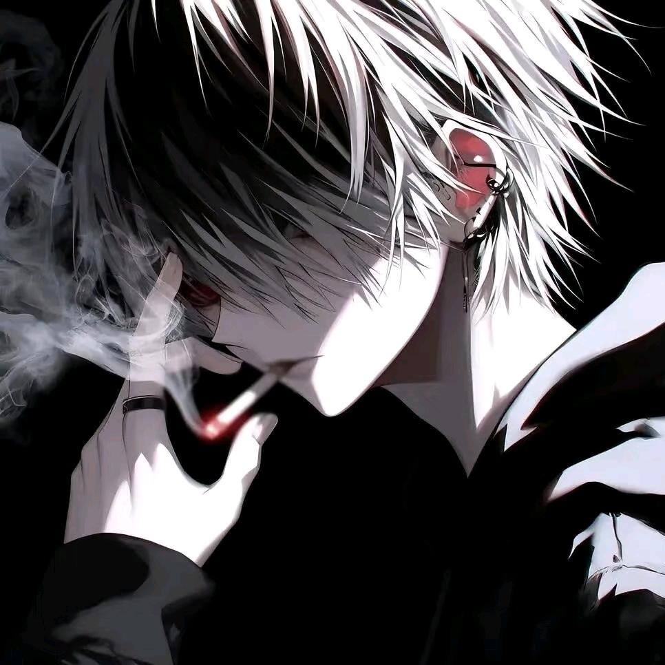 蜉蝣 🐍 ¹²¹²