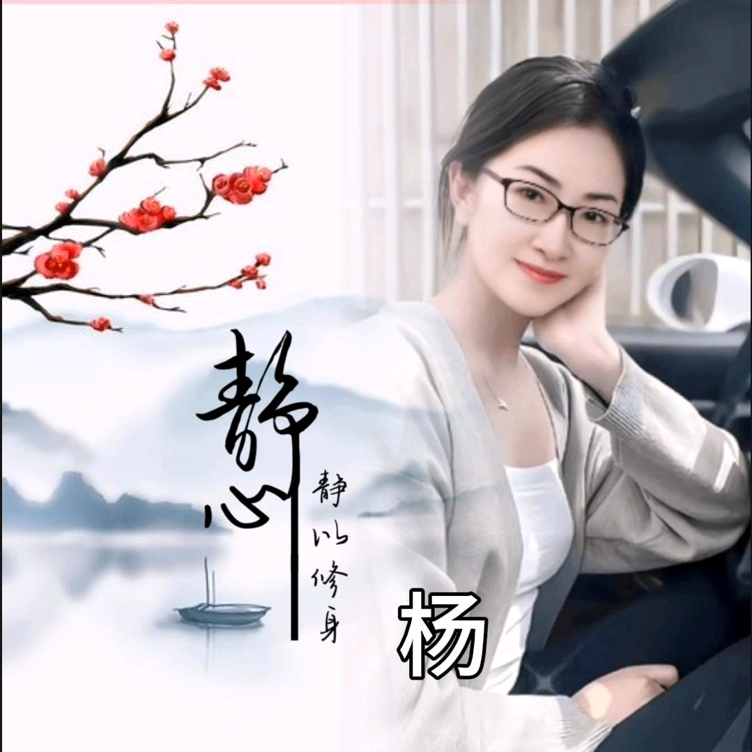 鹤乡伊人