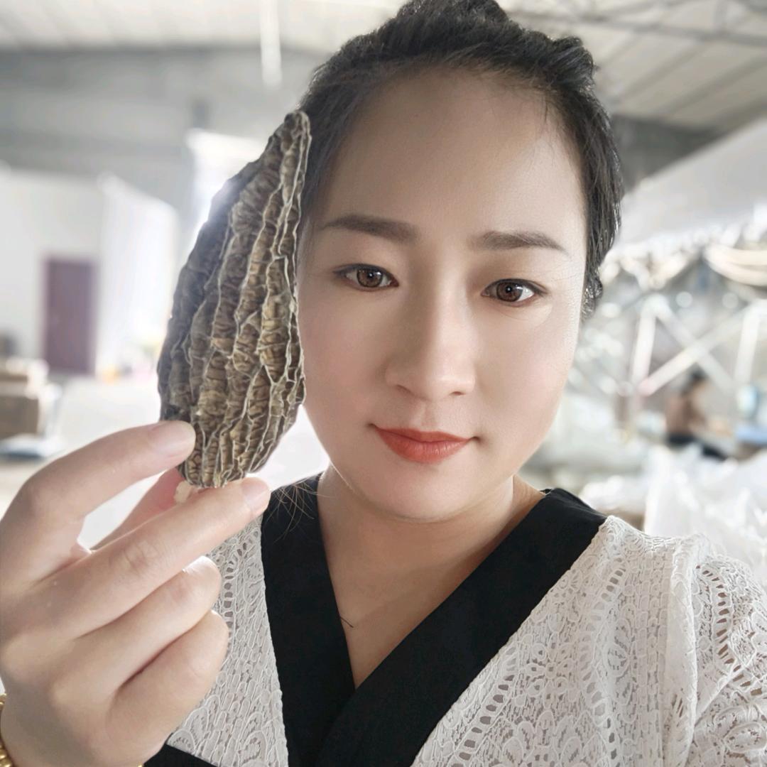 森茂菌业—羊肚菌收购