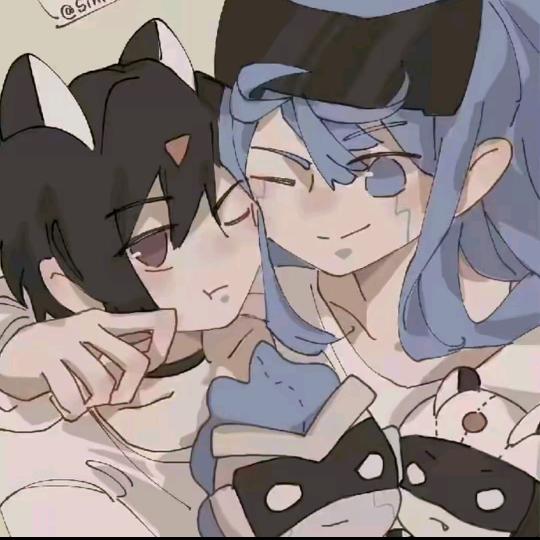 伽小