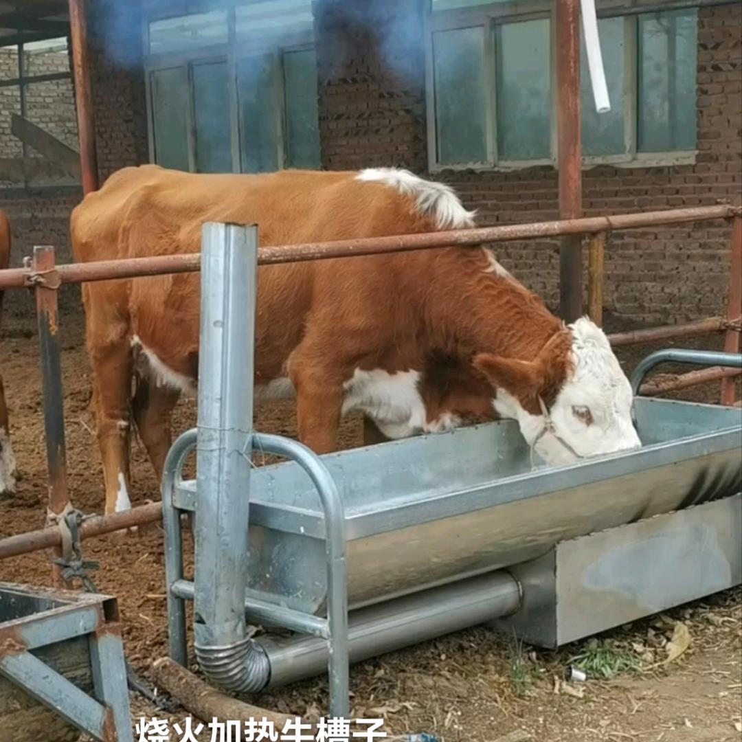 雪妹（牛羊加热水槽）