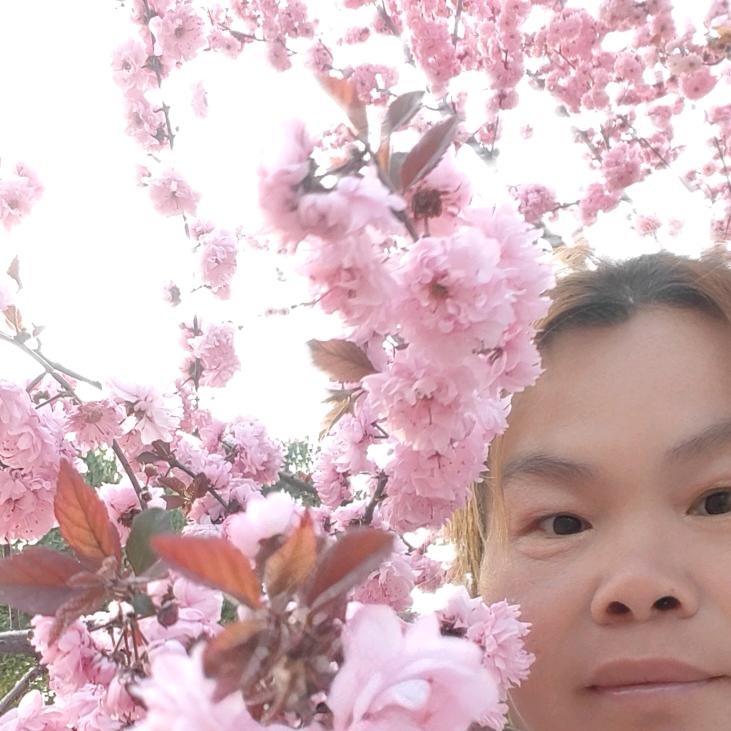 好就可以。 q w