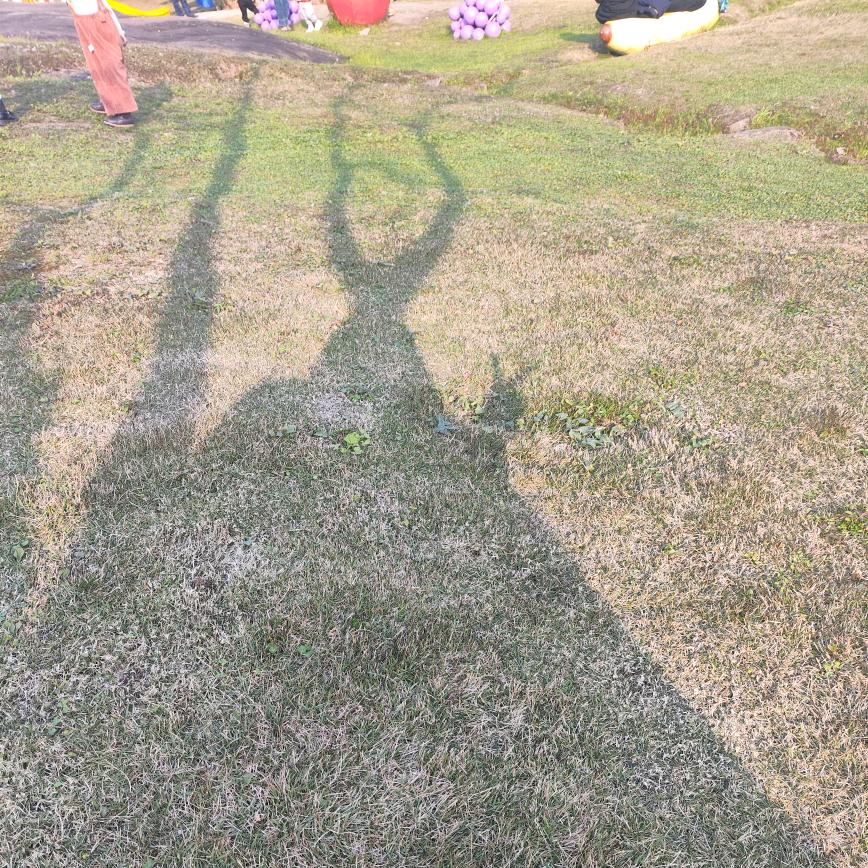 小小鱼🐟🐟🐟
