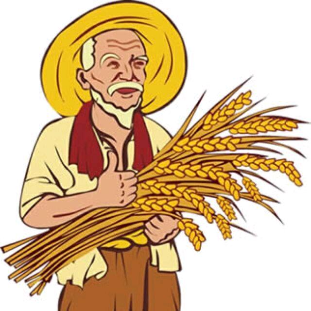 菜神农场☞一亩地