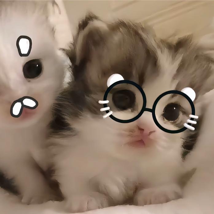 笗笗