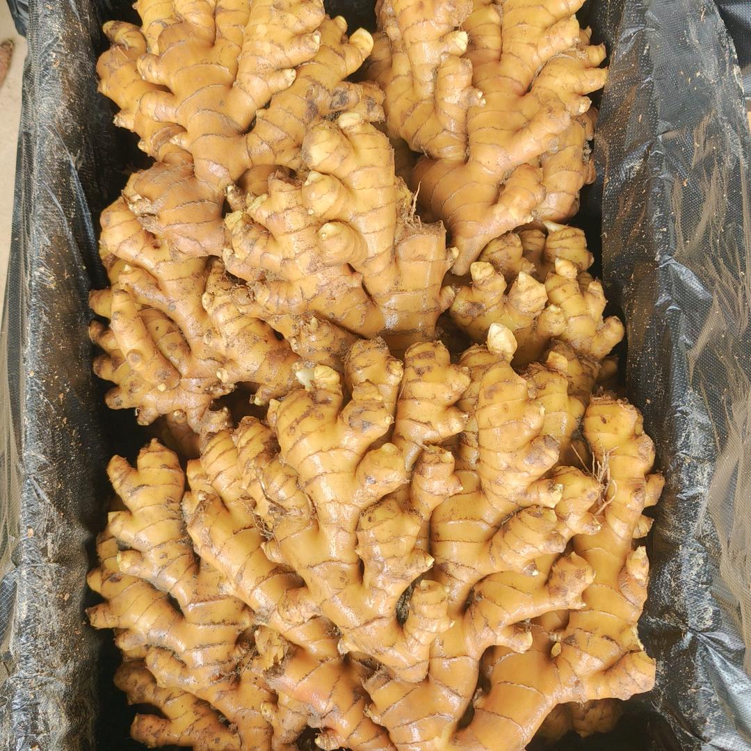 汝城县腾丰家庭农场