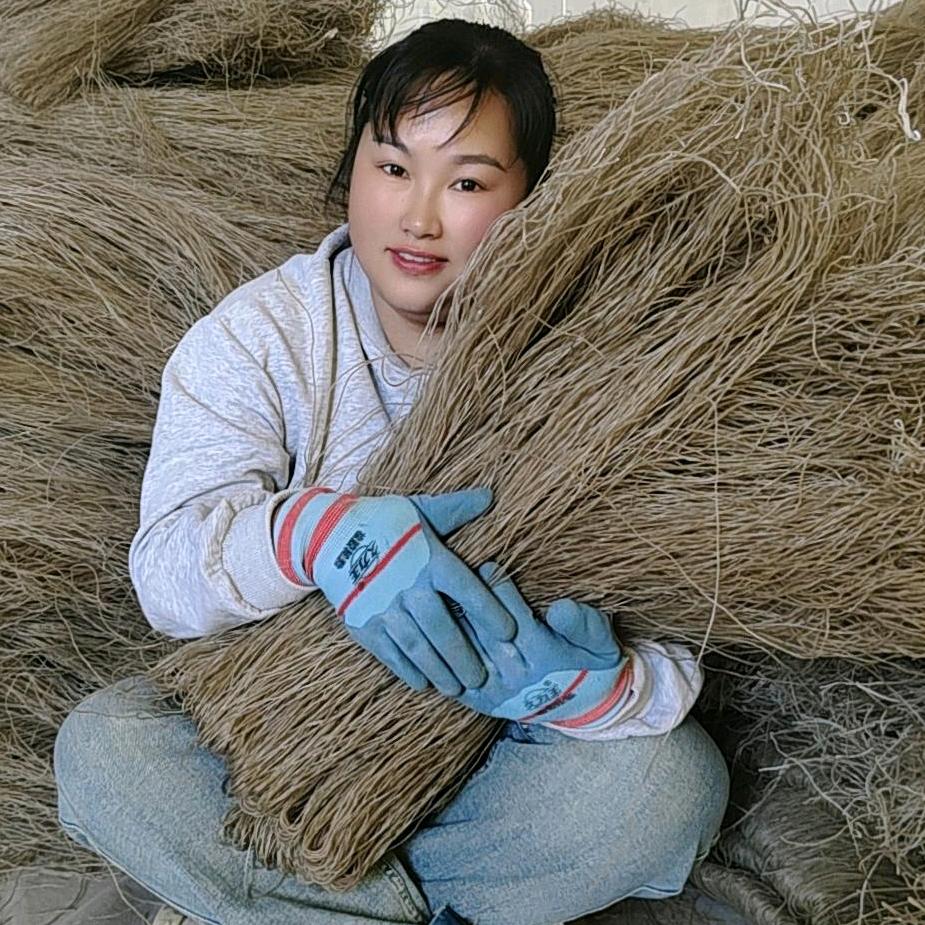 盘上纯红薯粉条～张静