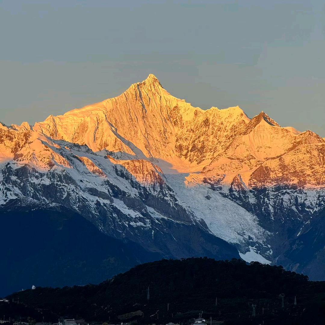 ͏ ͏见春天不见故人