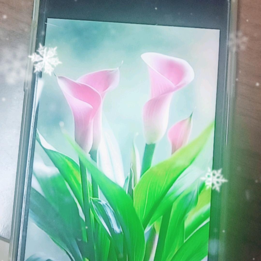 美肤乐4