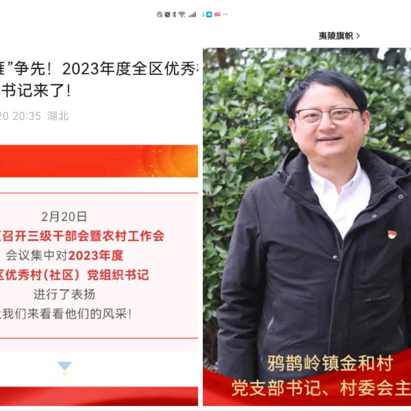 岭上金和