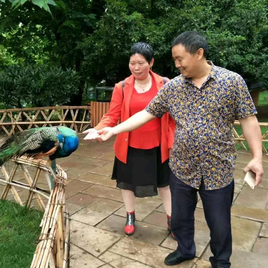 杜方利:创建、下寨民宿温泉