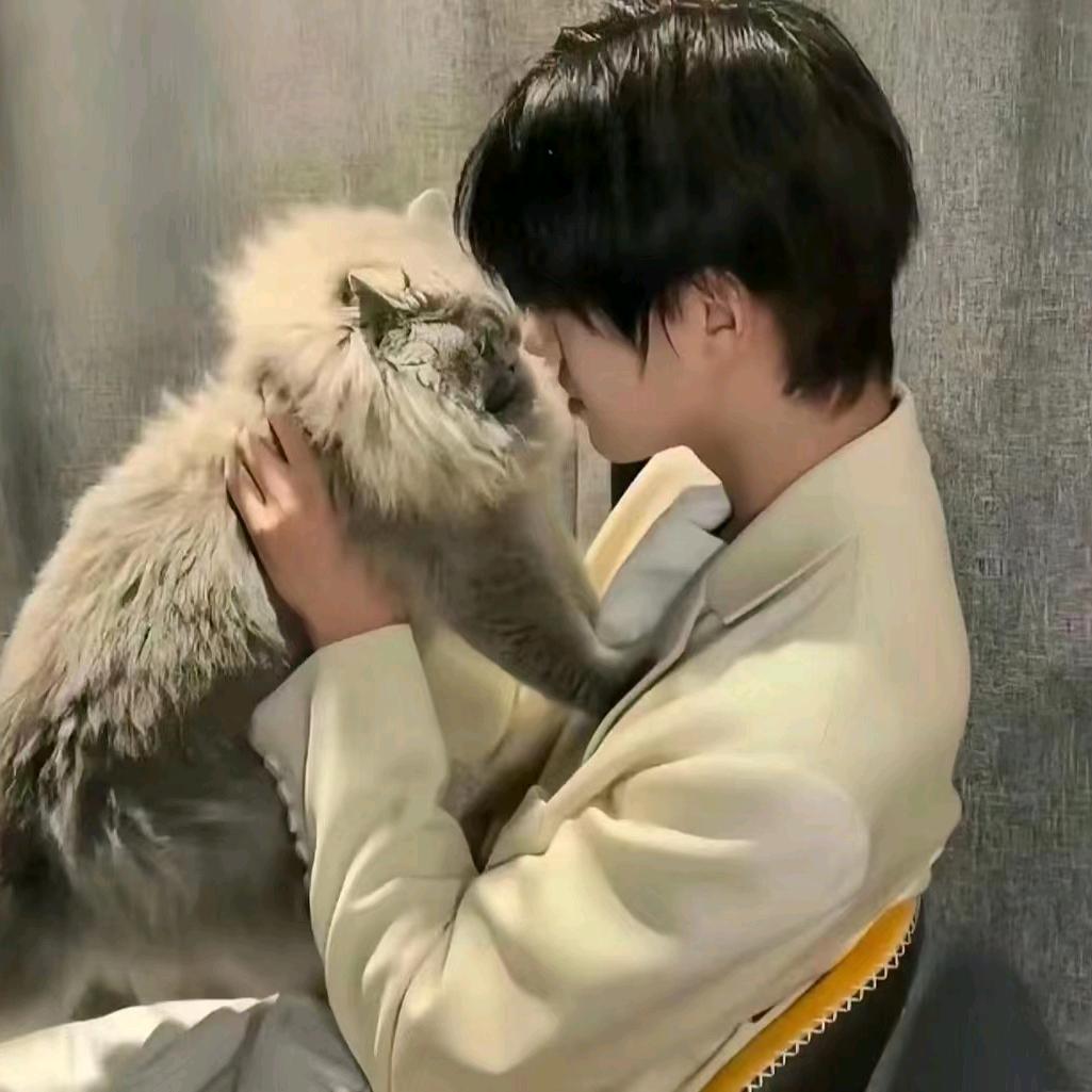 小峰(๑><๑）