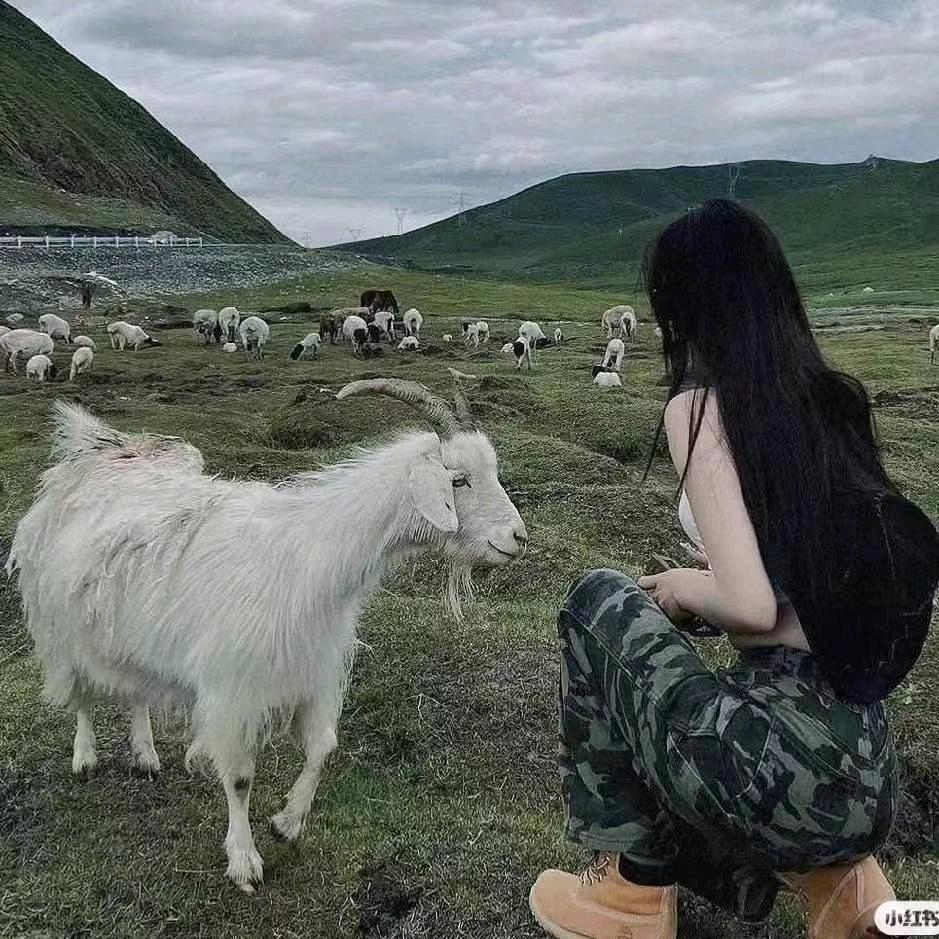 隔三差武女士📷