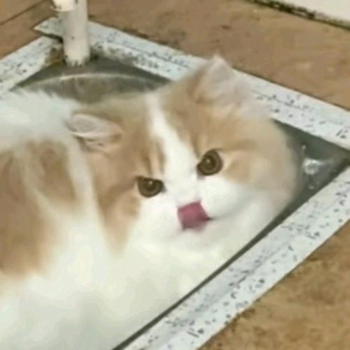 云边.