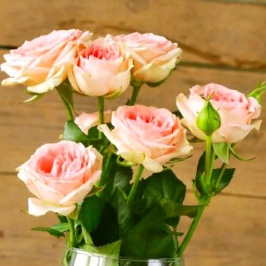 顺🌸其💋自🌺然