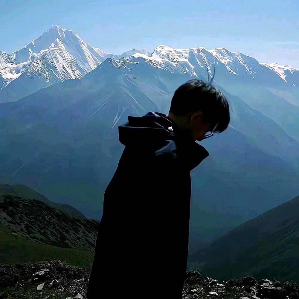 林木木呀！！（沉寂中）