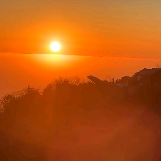 70单身活着是一场自我修行