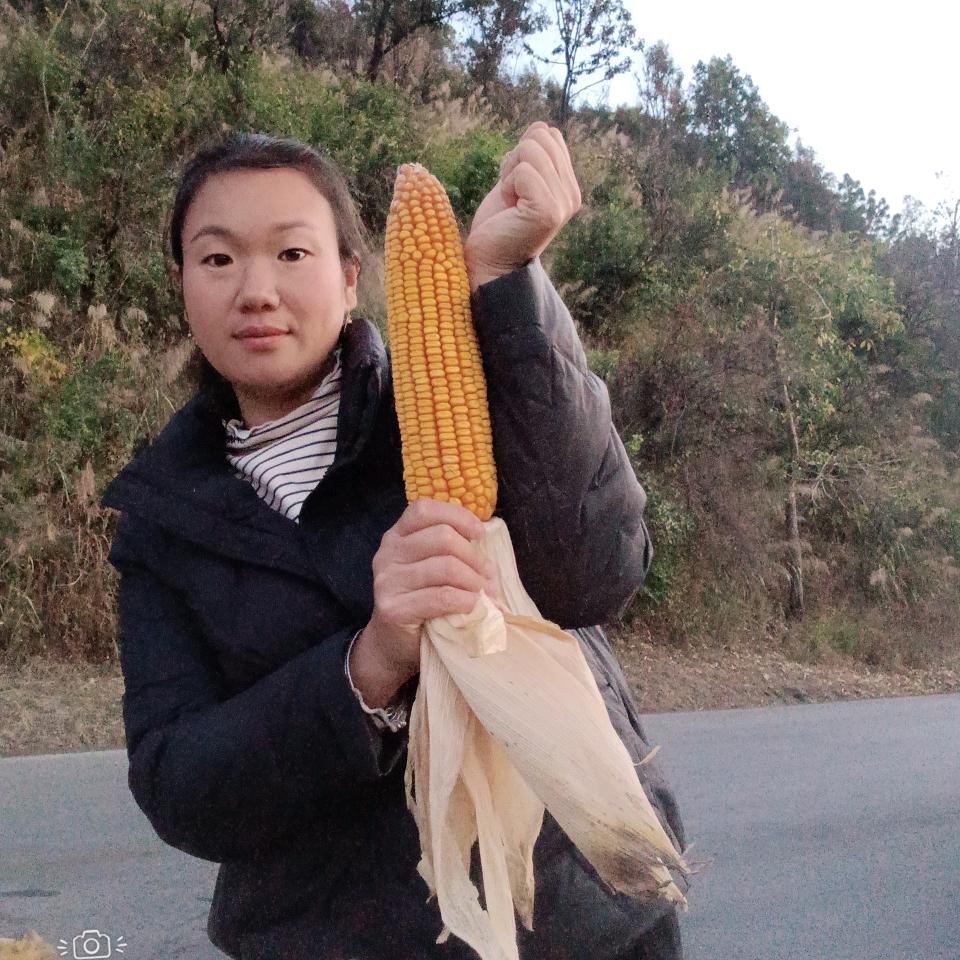 @腻脚🌽种子李映