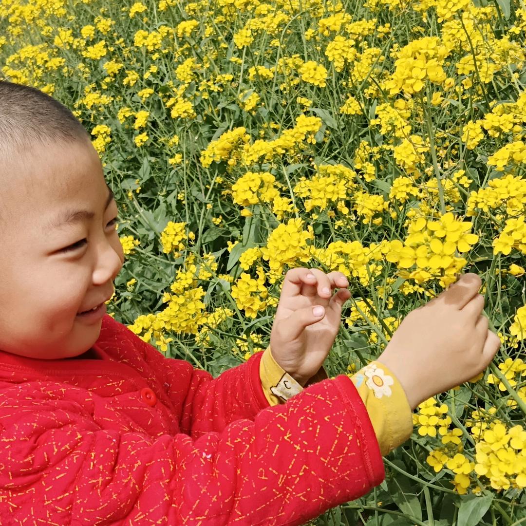 喜欢长生花的白涔涔头像