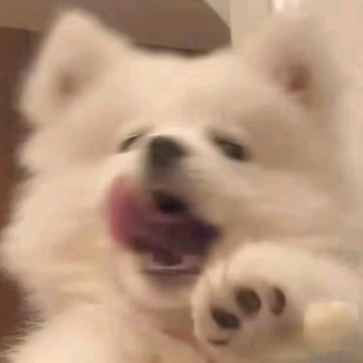 哈