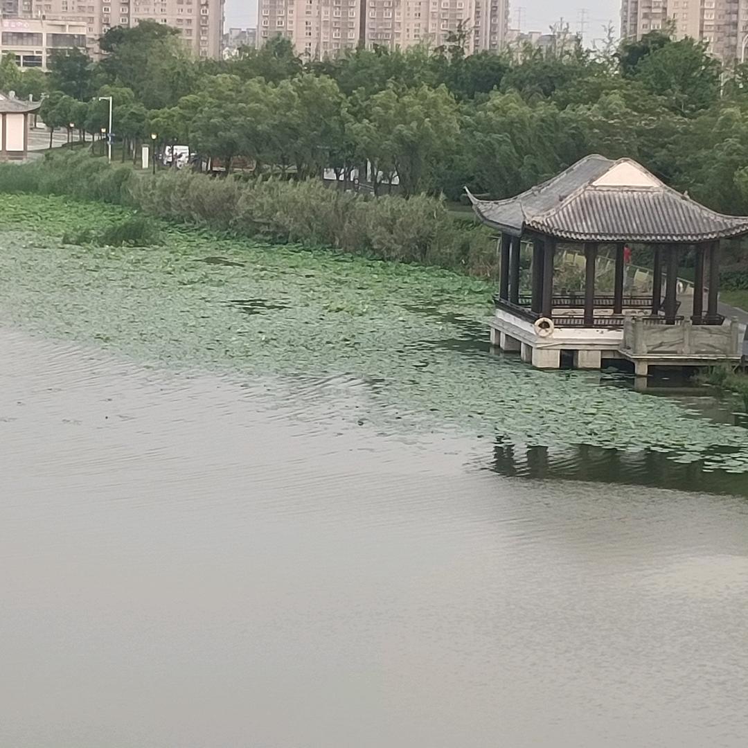 海边听ᵏᵃʳʳʸ风
