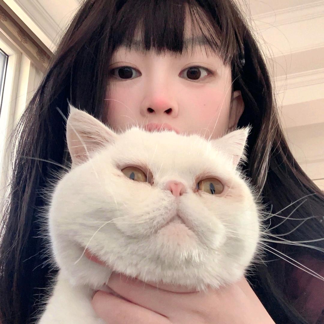 秋栀子(´•ω•̥`)