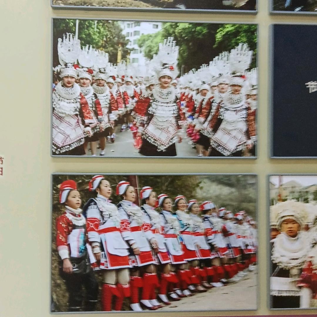 19950207886温柔的刺