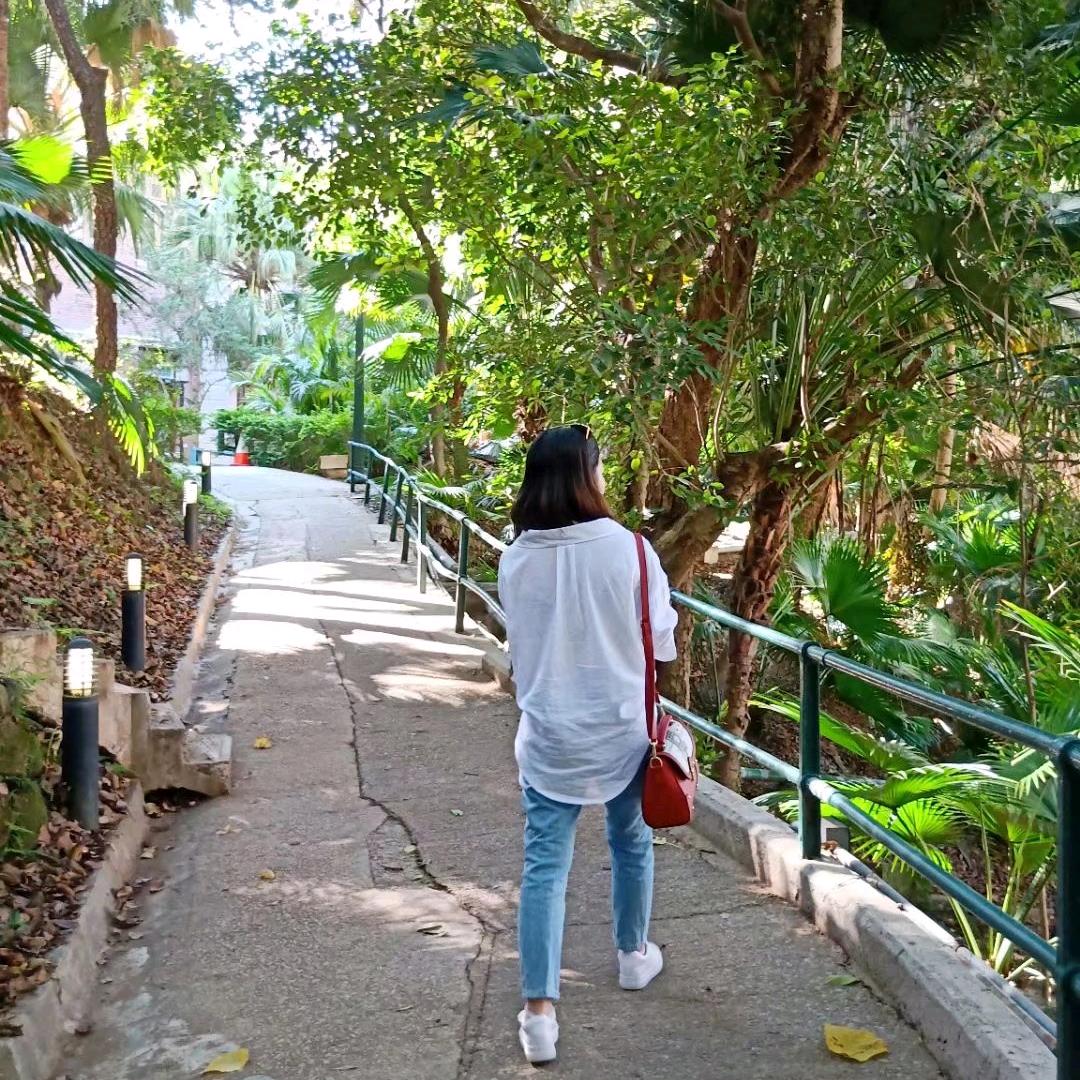 小悦悦（自律中～）