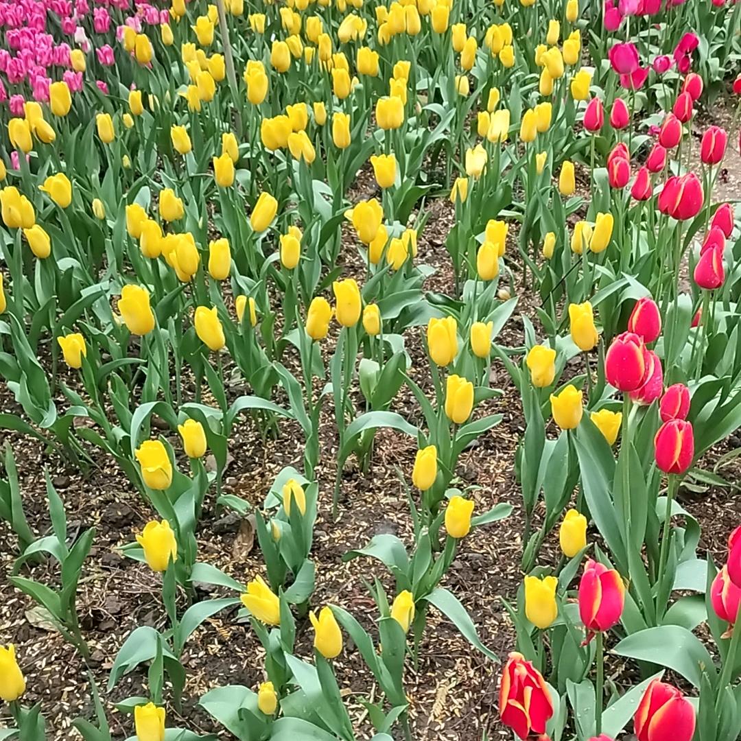 开心就好！拒绝合拍