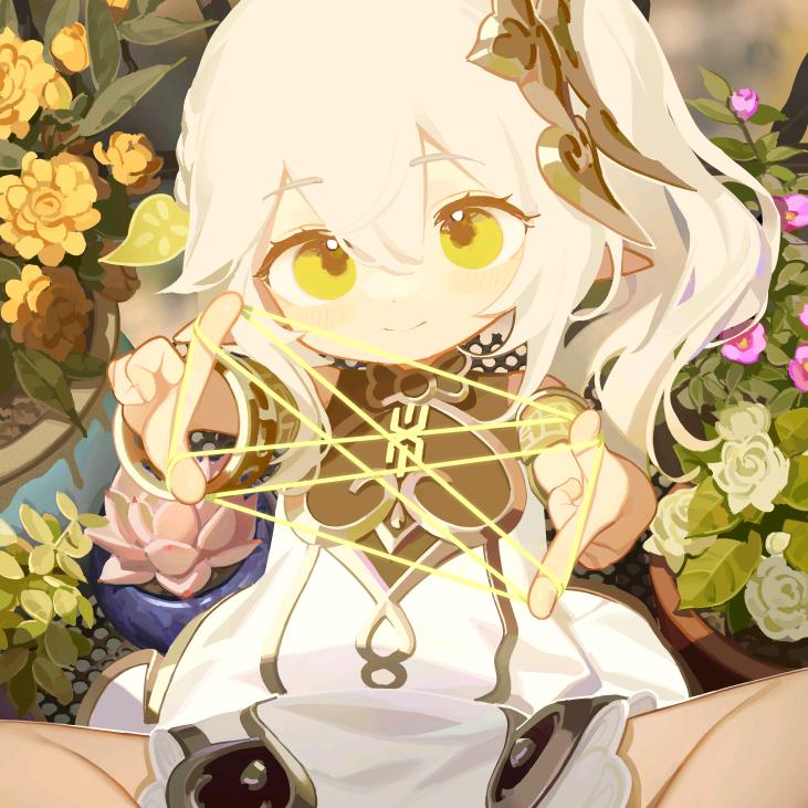 四盒