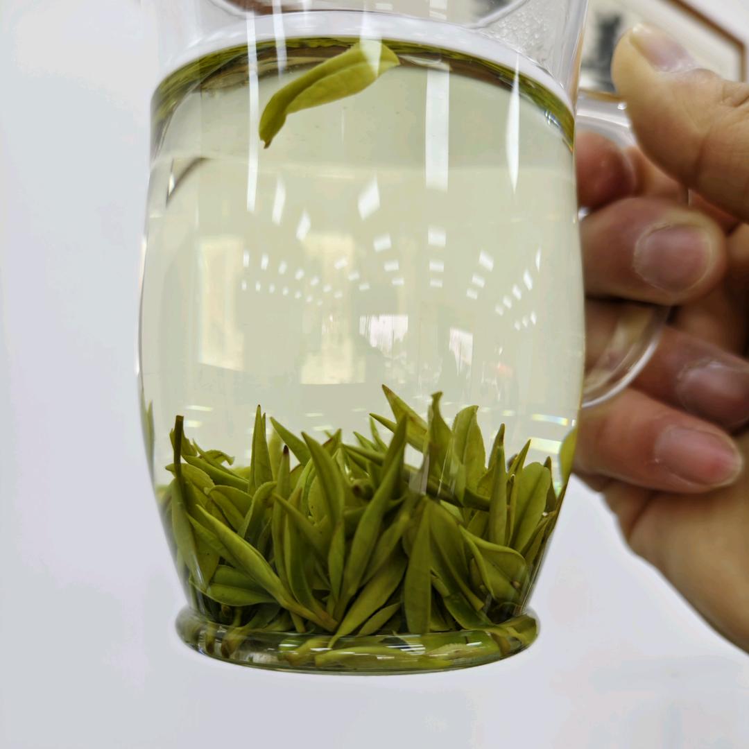 小杨与茶的故事