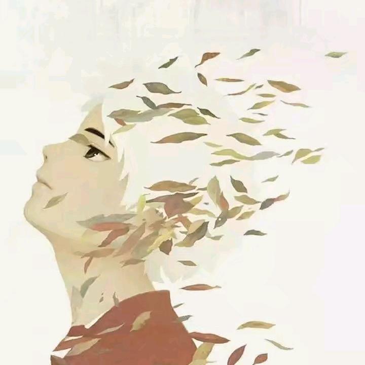 Dream _