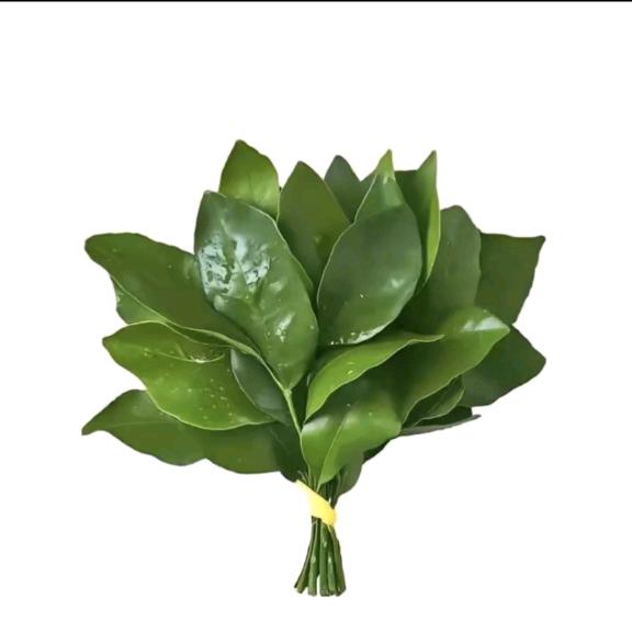 别让我闭嘴