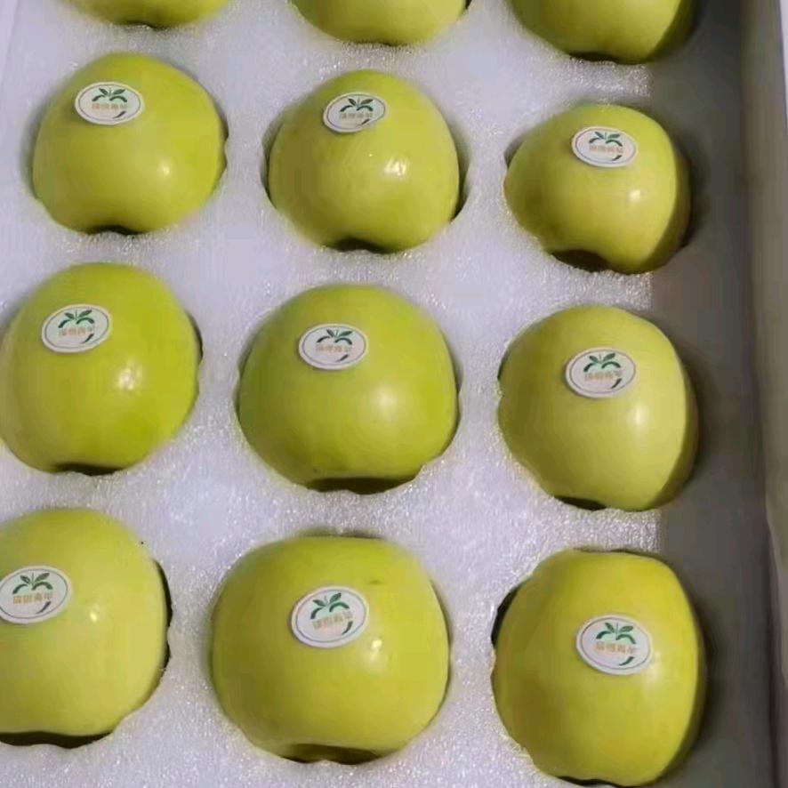 西北搬砖哥，陕西🍎🍒现摘现发