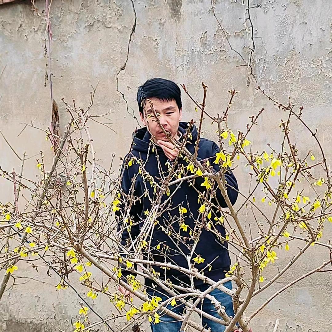 彬彬