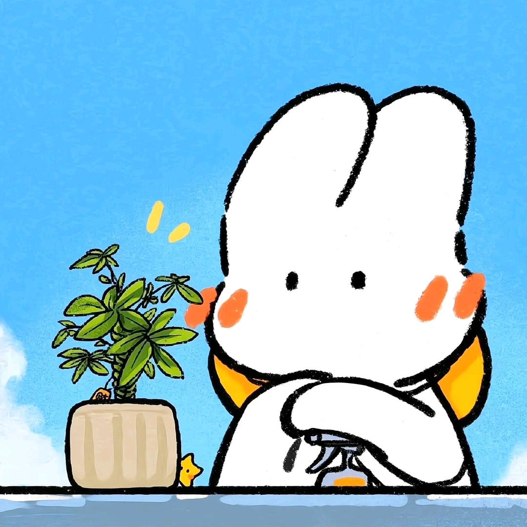光合小苗
