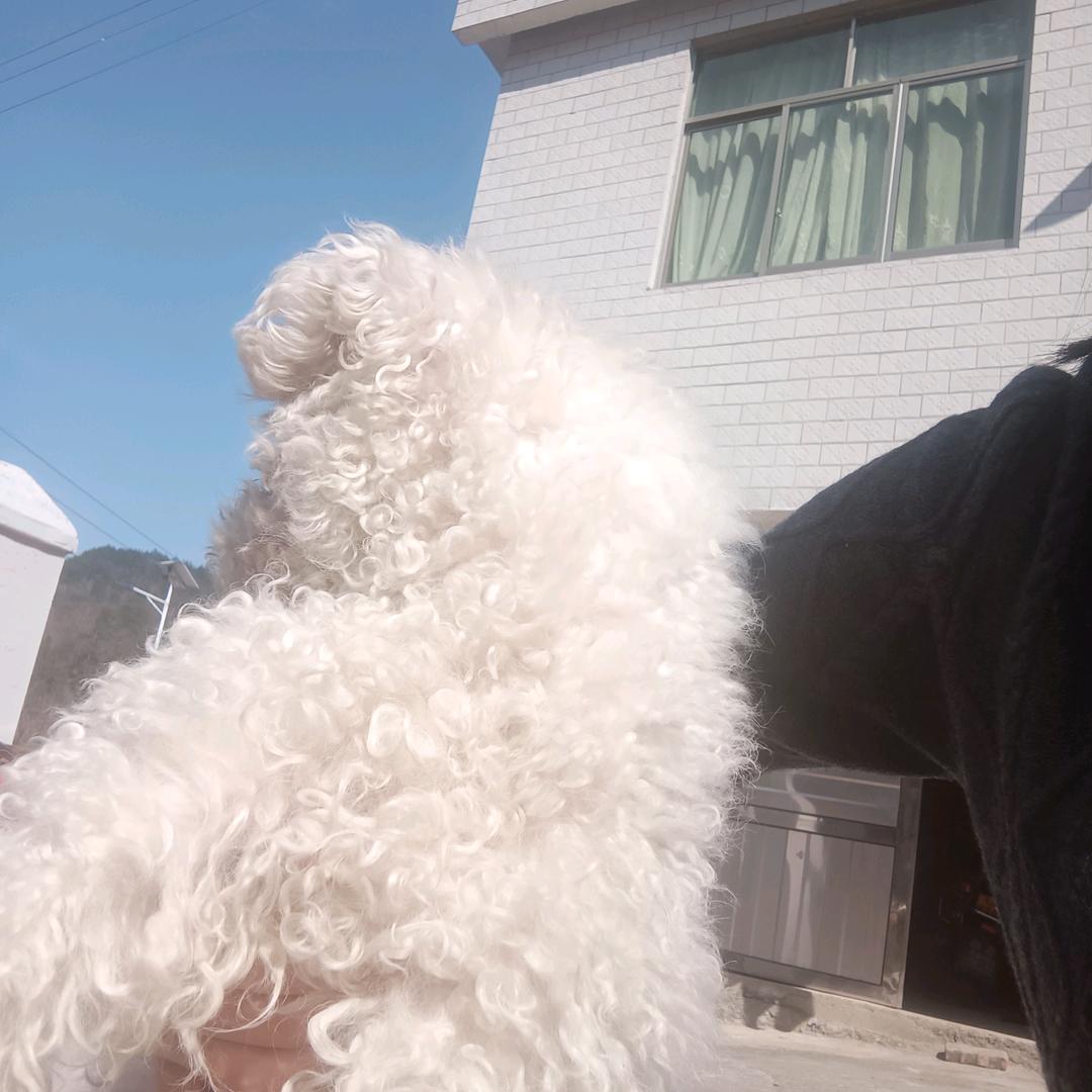 凌小小