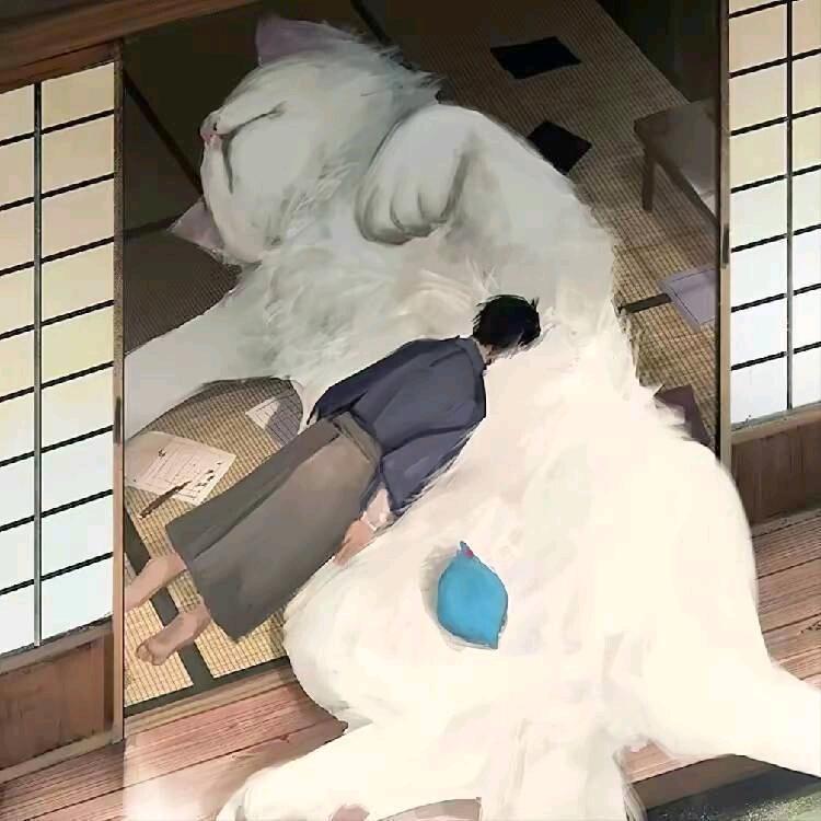 六年的哈基米