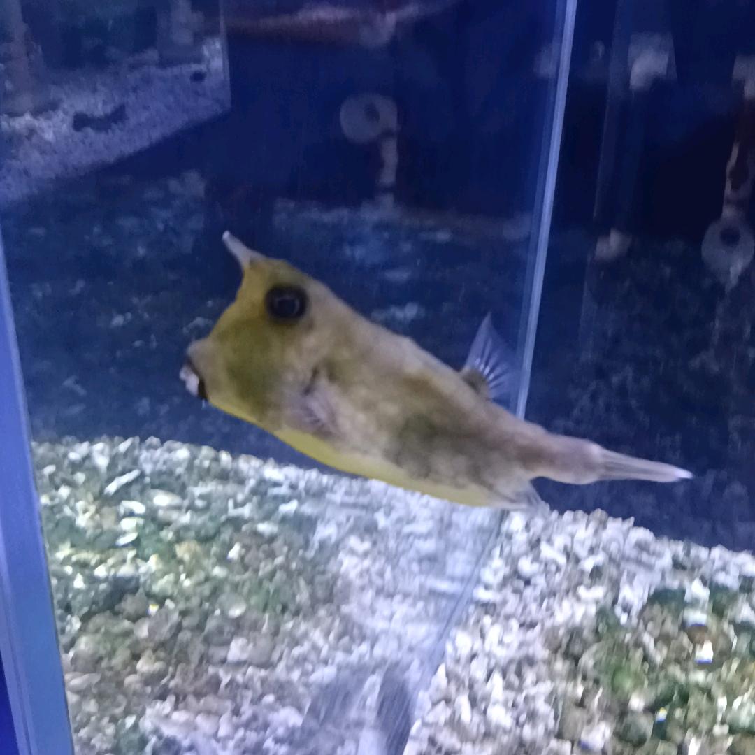 卖房子的小李🏠