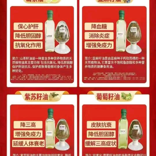 财神爷教你玩赚AI