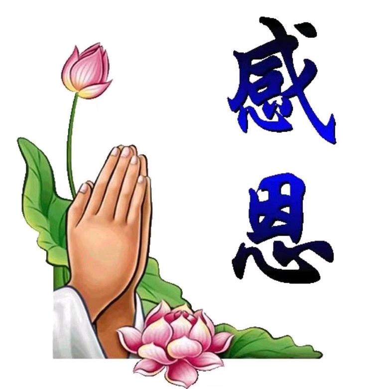 劉晓晓🉐💗🌻🌺🌹🌳