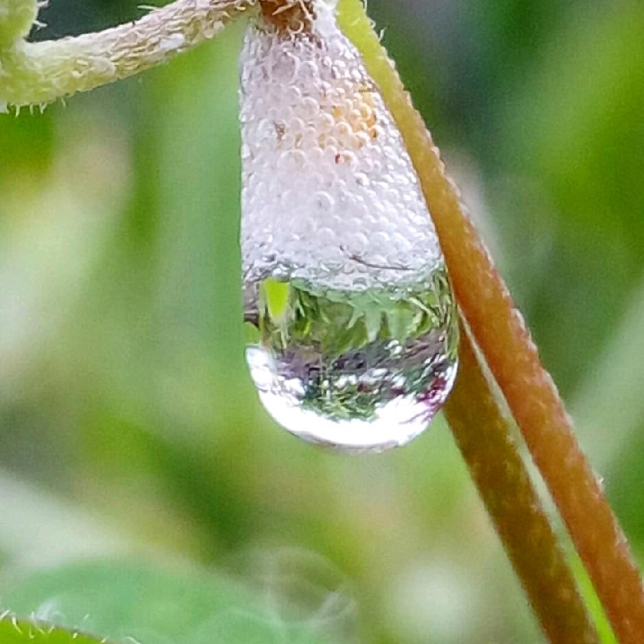 ☾⋆᭄春暖花开࿐