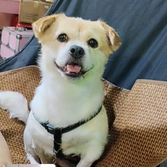 总忘不了你^
