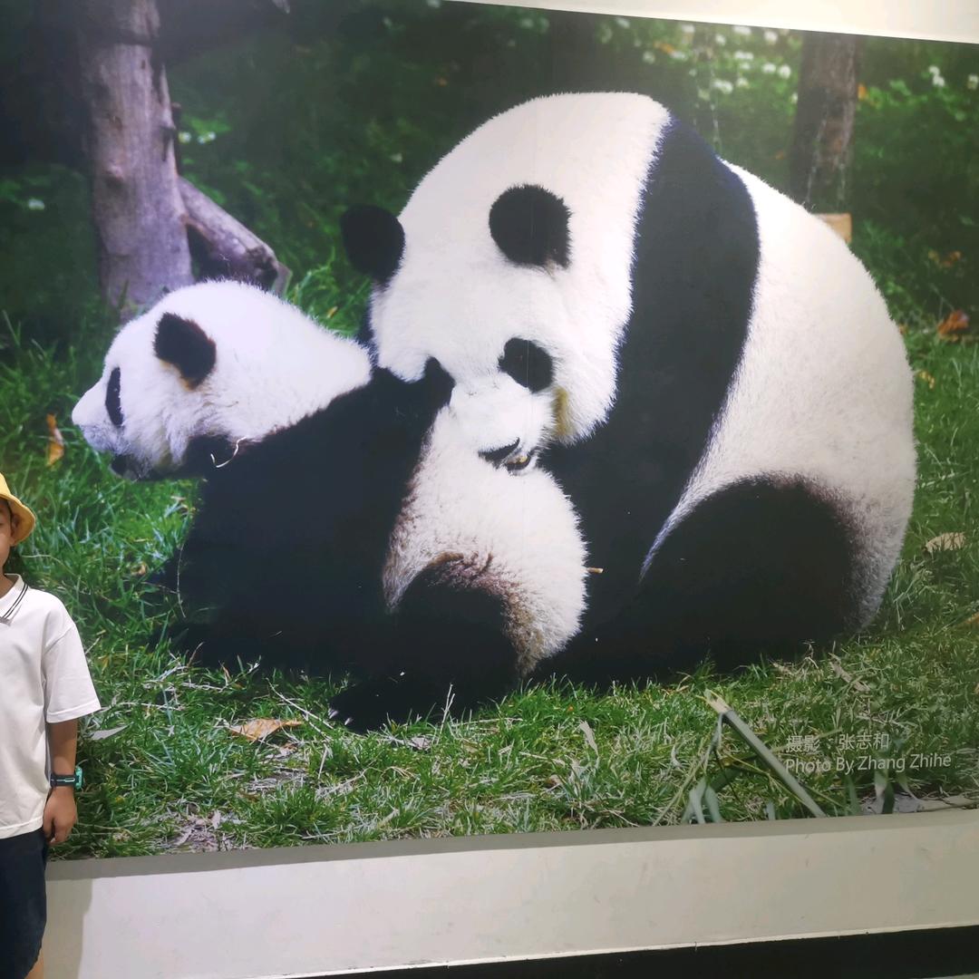 奔跑的机械师